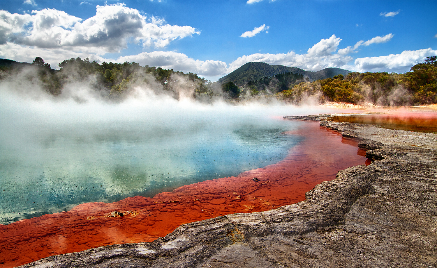 New Zealand's North Island: 11 Days in Auckland and Rotorua