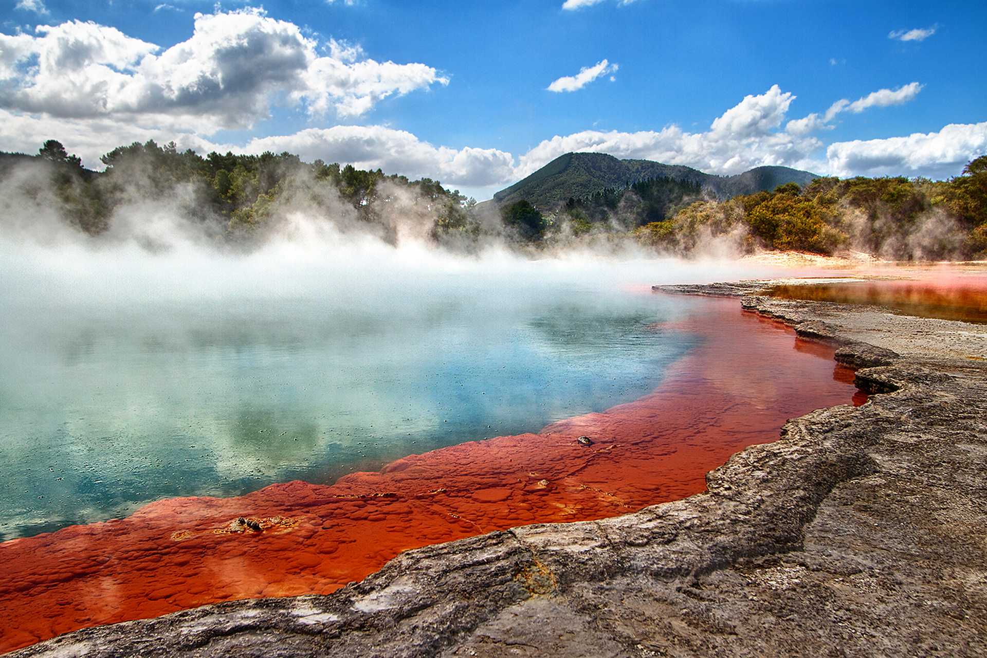 New Zealand's North Island: 11 Days in Auckland and Rotorua