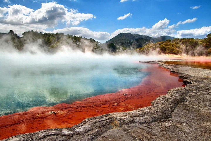 New Zealand's North Island: 11 Days in Auckland and Rotorua