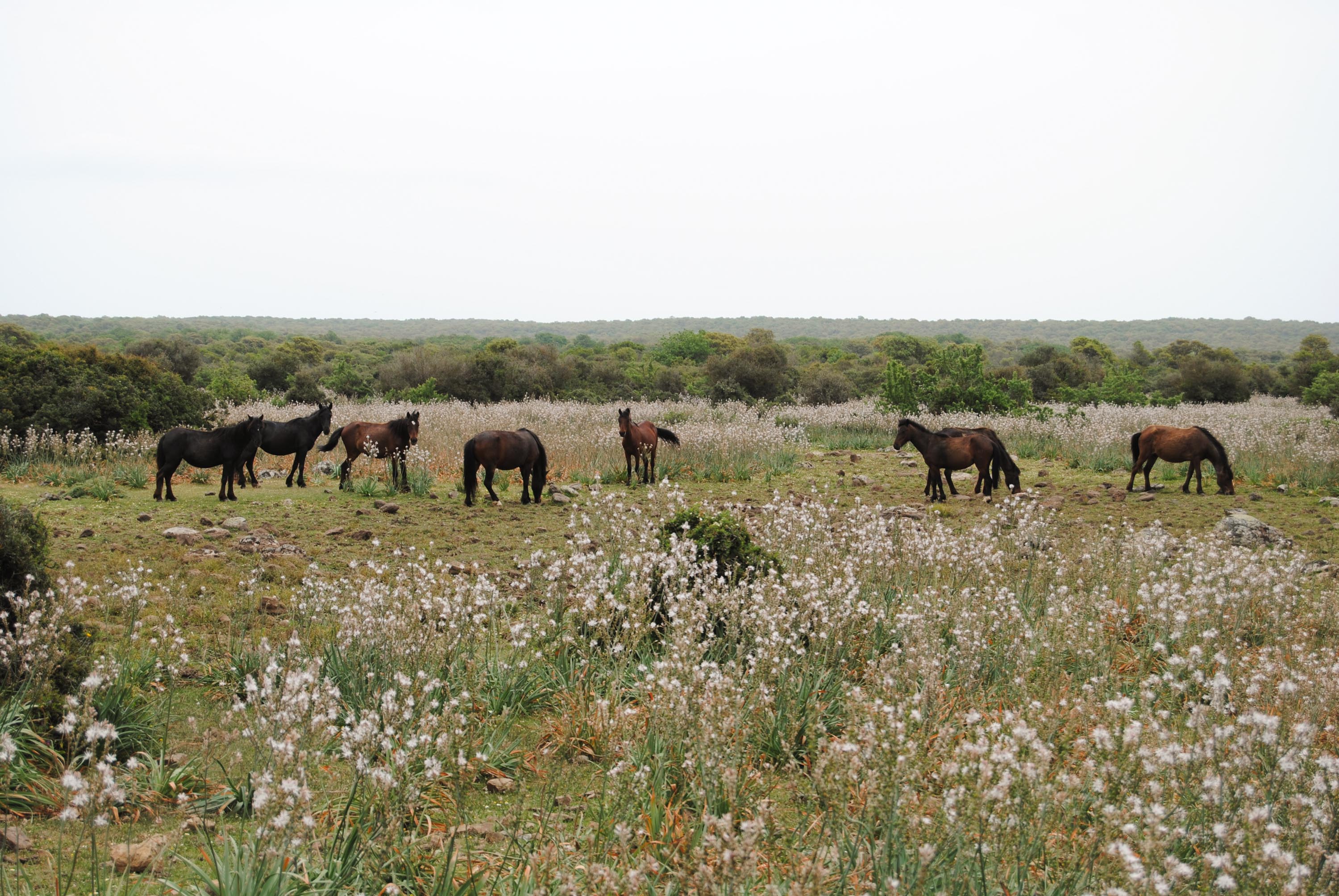 Day 3_shutterstock_1585384741.jpg