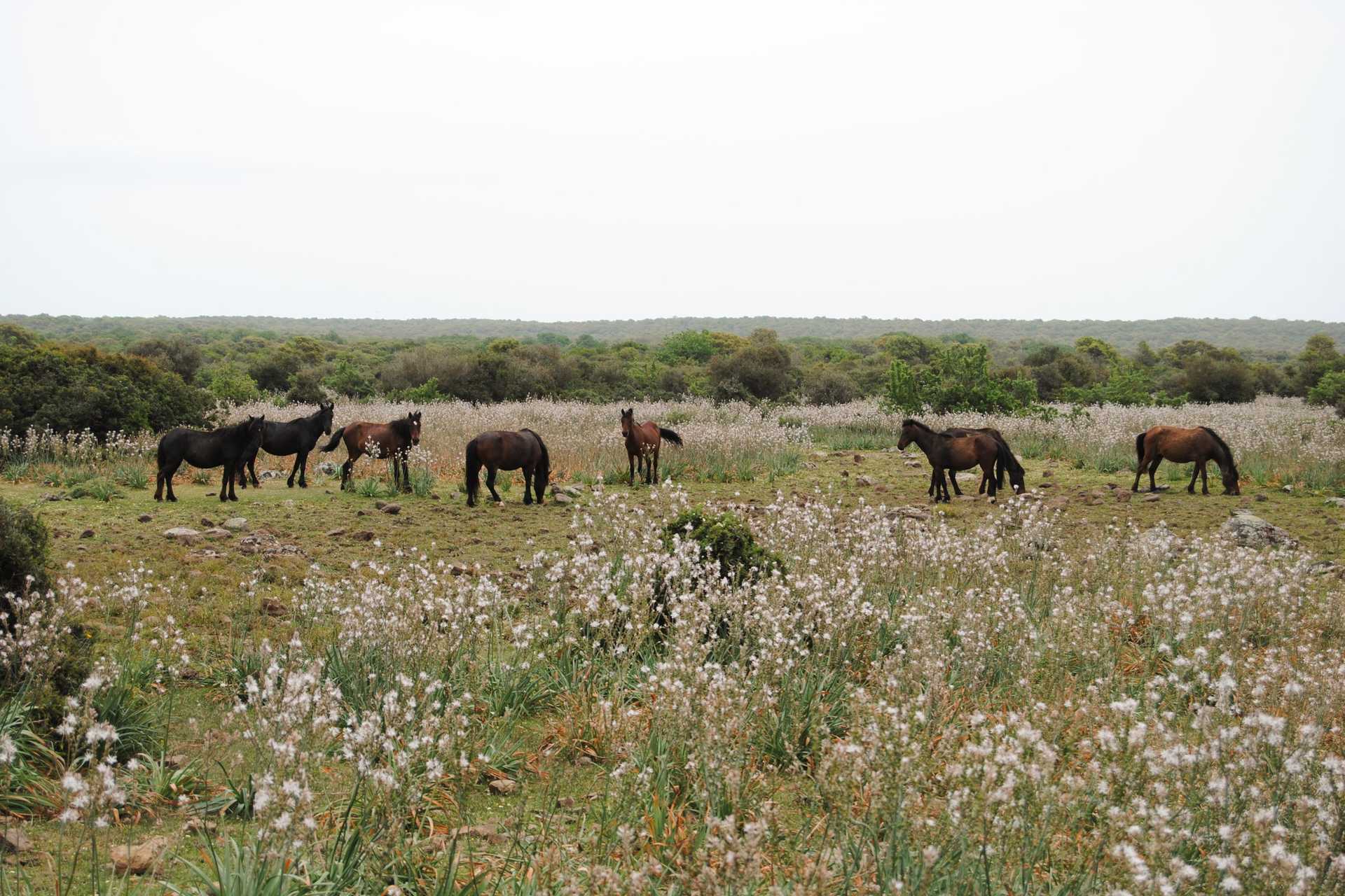 Day 3_shutterstock_1585384741.jpg