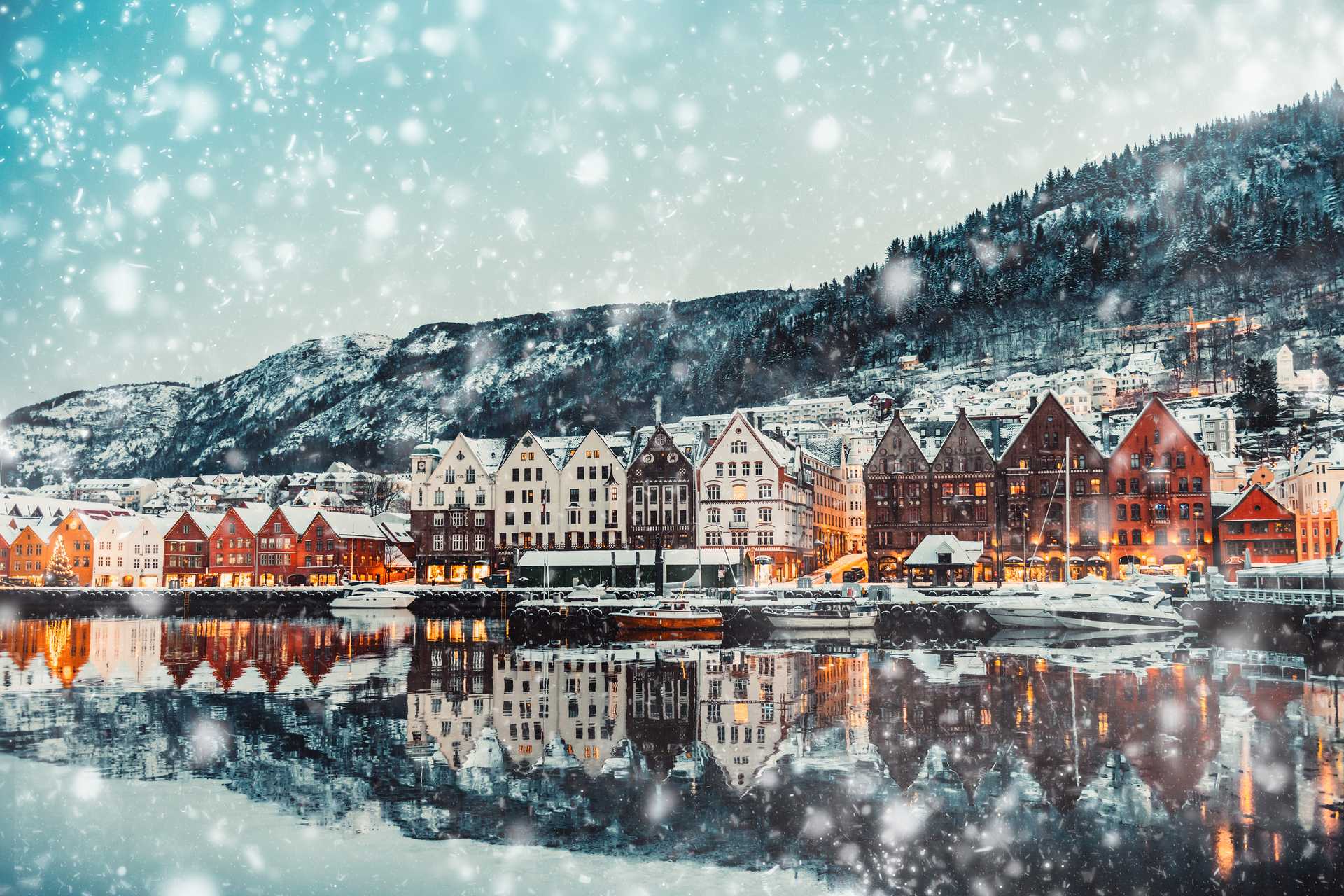 Cruising South Through Norway’s North: Winter in 12 Days