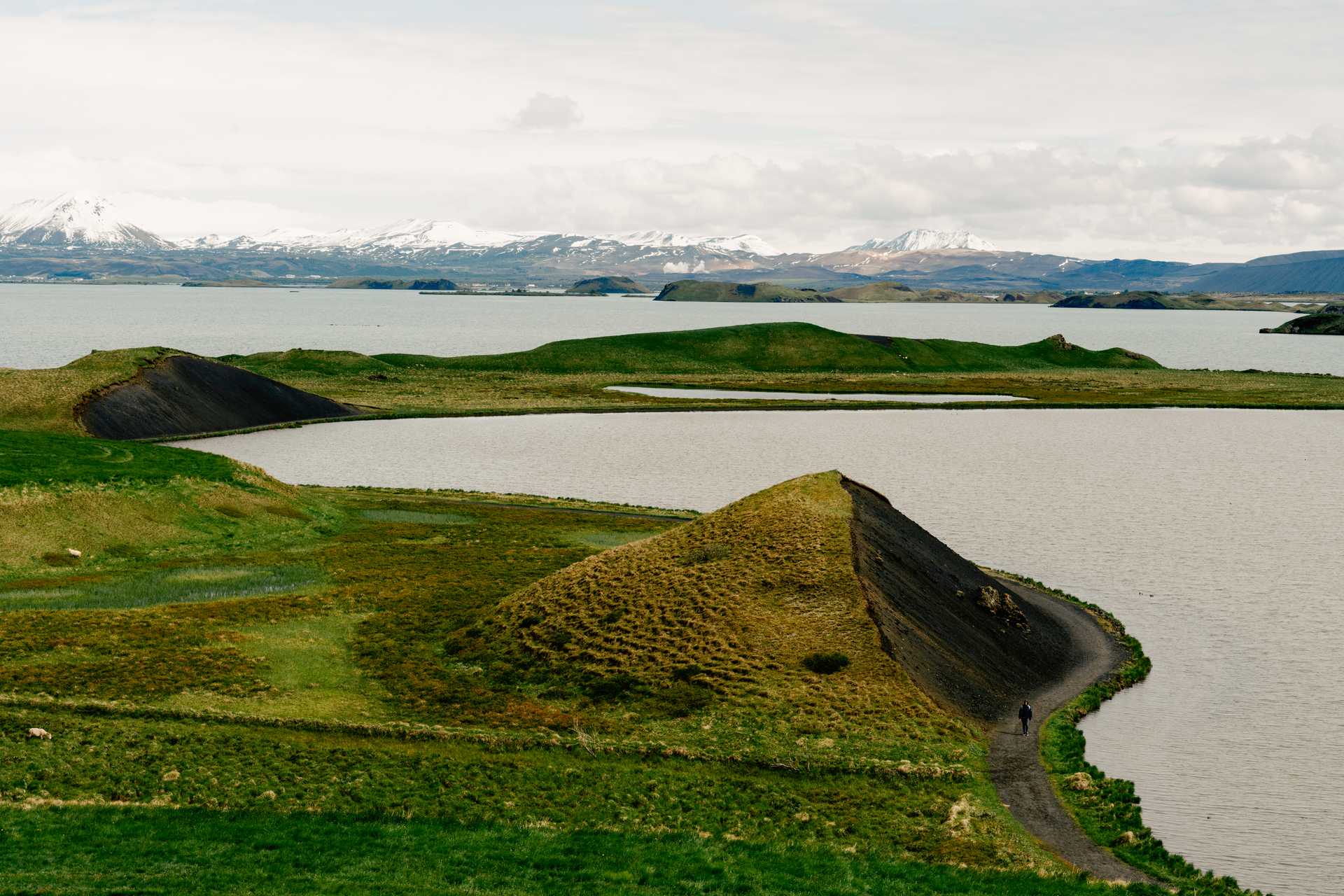 Dorsa_LP_Iceland_03907.jpg