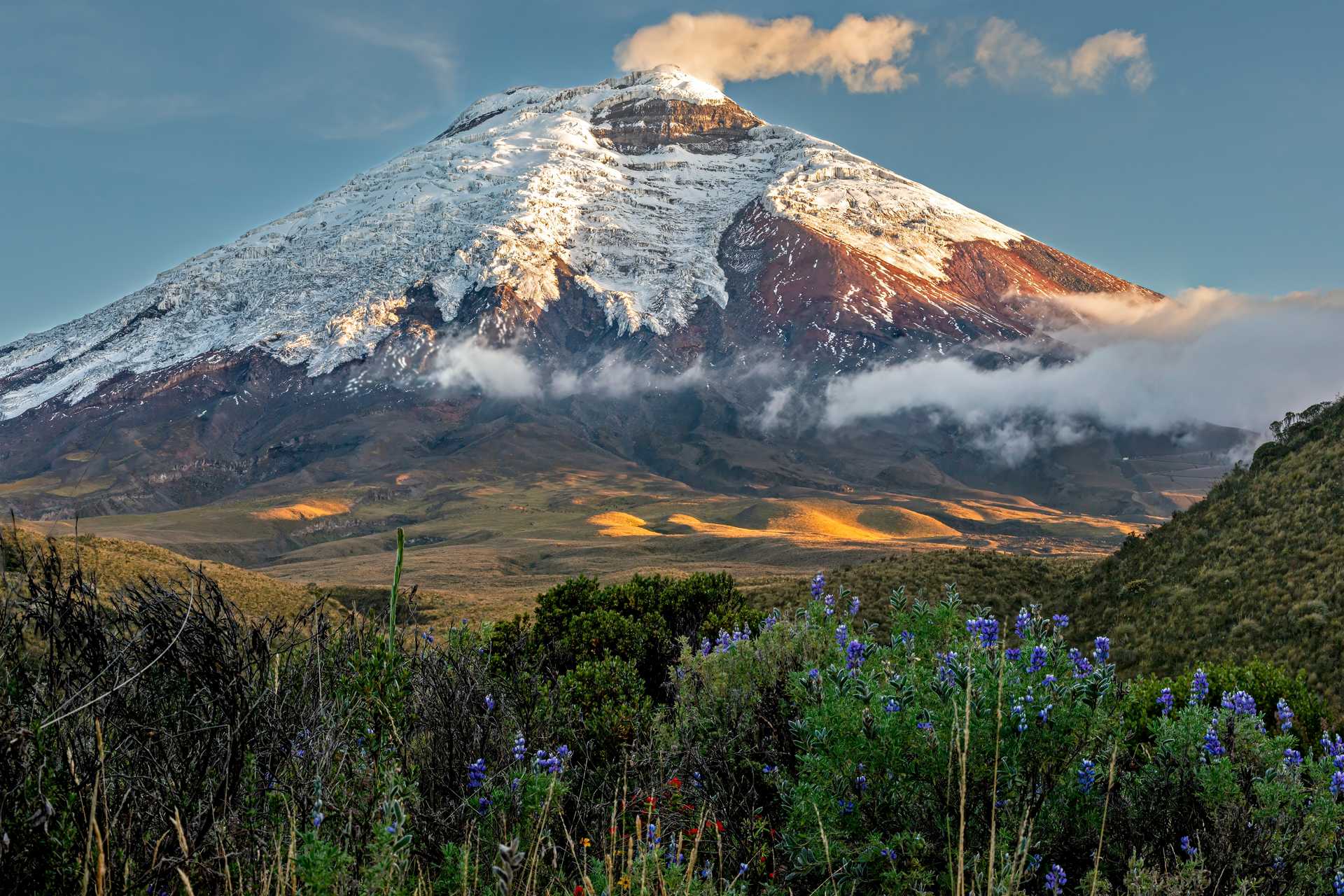 Cotopaxi at sunset