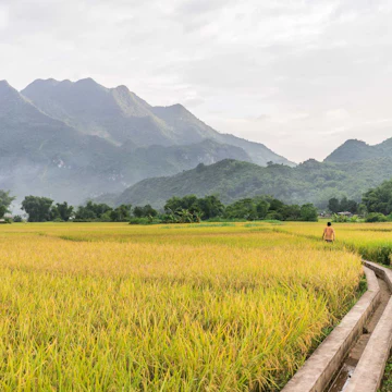 Vietnam: 12 Days in Quy Nhon, Hạ Long, Hội An, and the Mekong Delta
