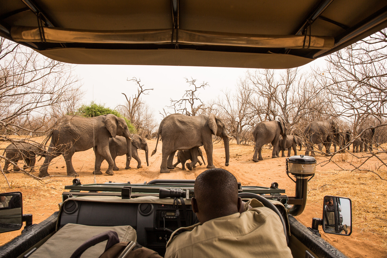 Southern Africa: 9-Day Safari in Botswana and Zimbabwe