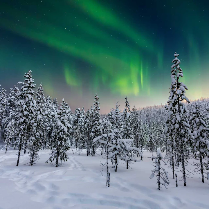 Finding Your True North in Finland: An Arctic Expedition