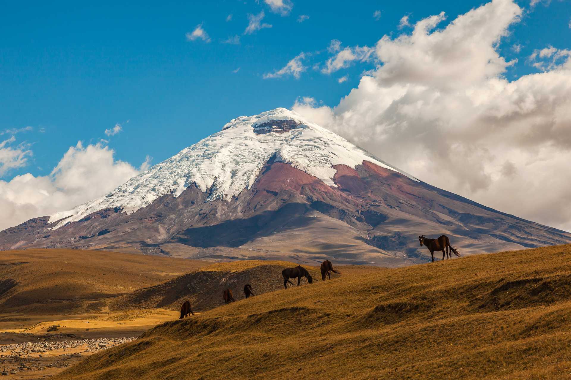Ecuador in 10 Days: Cotopaxi Cowboys and Amazon Adventures