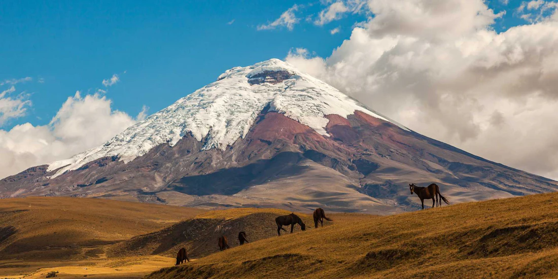 Ecuador in 10 Days: Cotopaxi Cowboys and Amazon Adventures