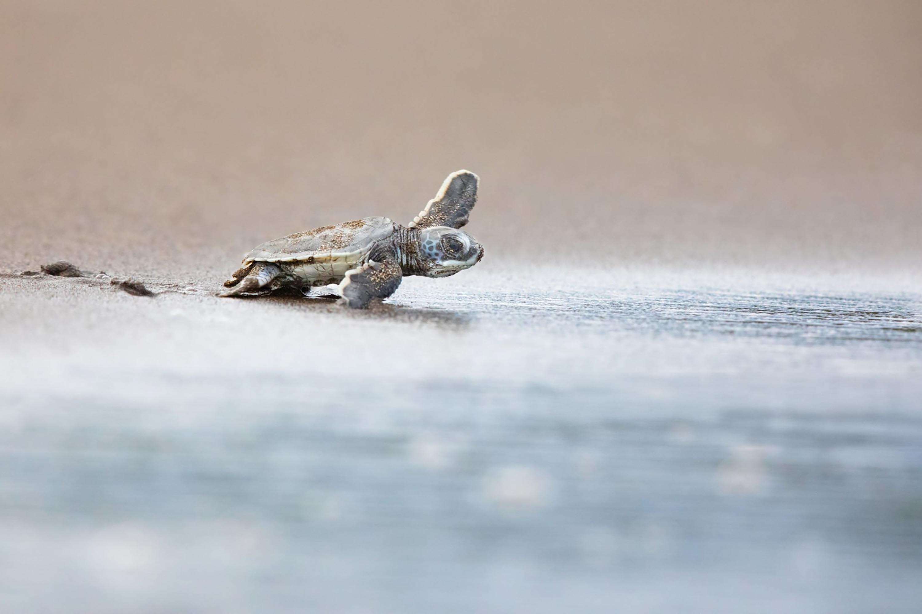 Day 3_shutterstock_2560313359.jpg