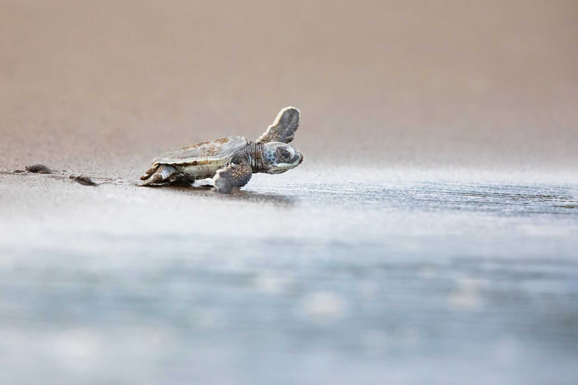 Day 3_shutterstock_2560313359.jpg