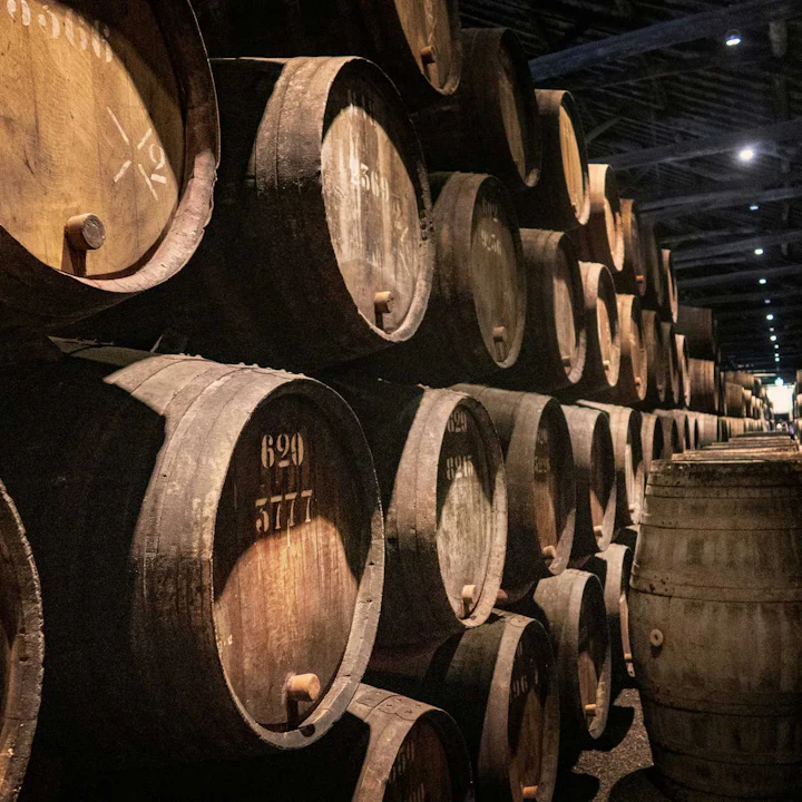 Portal Through Portugal: Lisbon, Porto, the Douro Valley, and the Algarve