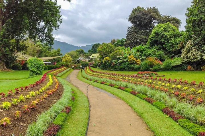 Signature Sri Lanka: City, Coast, and Wildlife Corridors in 14 Days