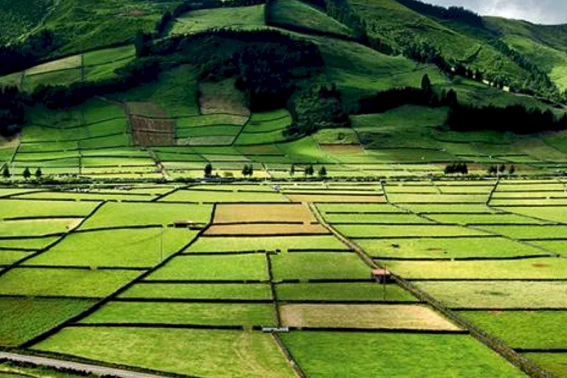 Acores Terceira Vale Achada1