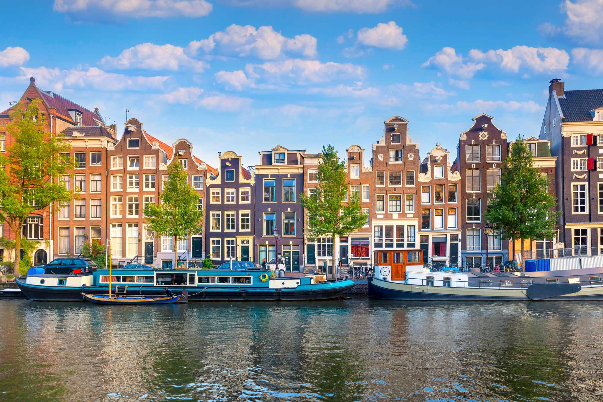 shutterstock_2507490843.jpg
