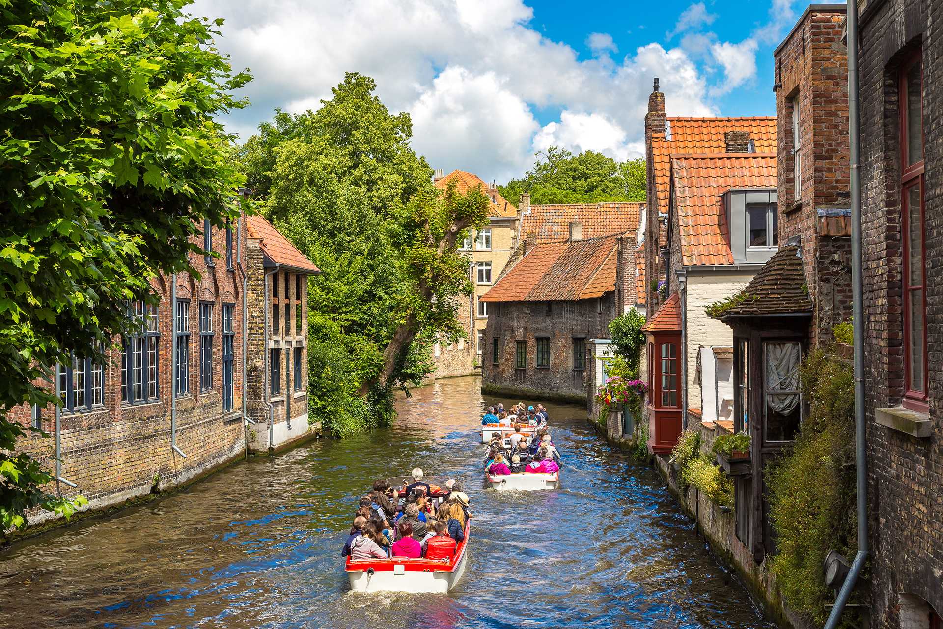 Shutterstock_561650332.jpg