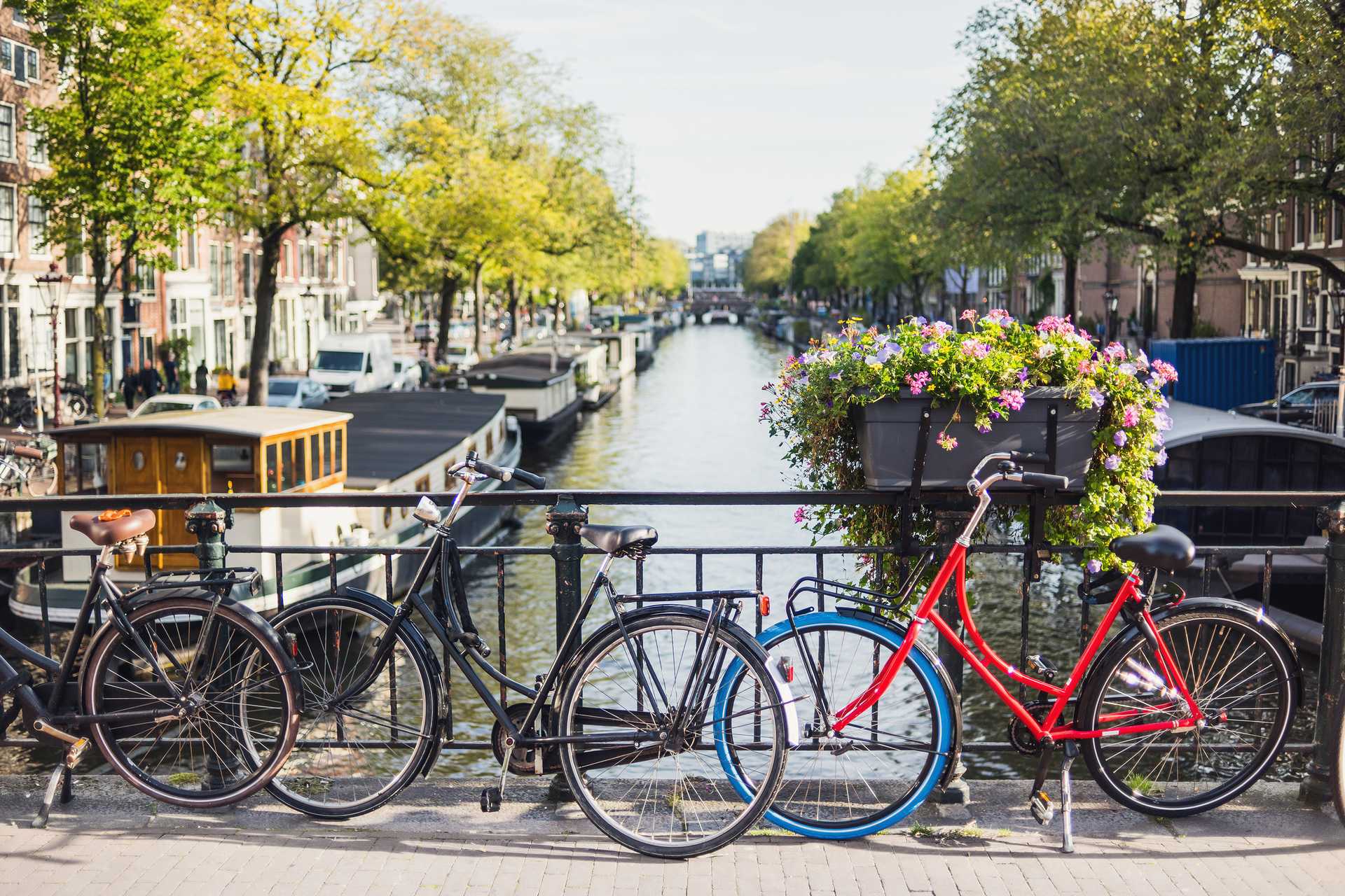 10 Days in the Netherlands: Canals and Culture
