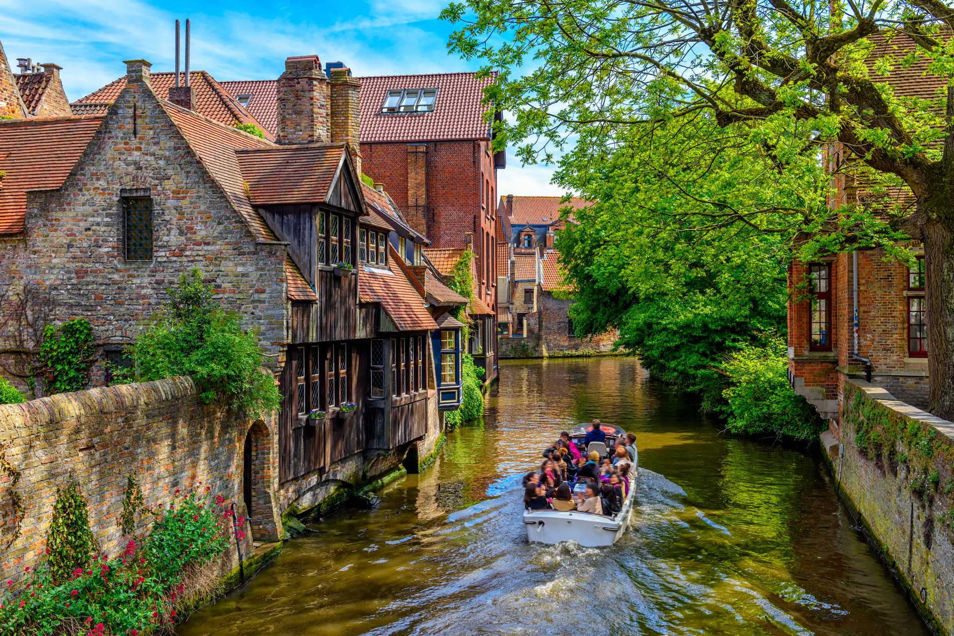 14 Days in the Netherlands and Belgium 