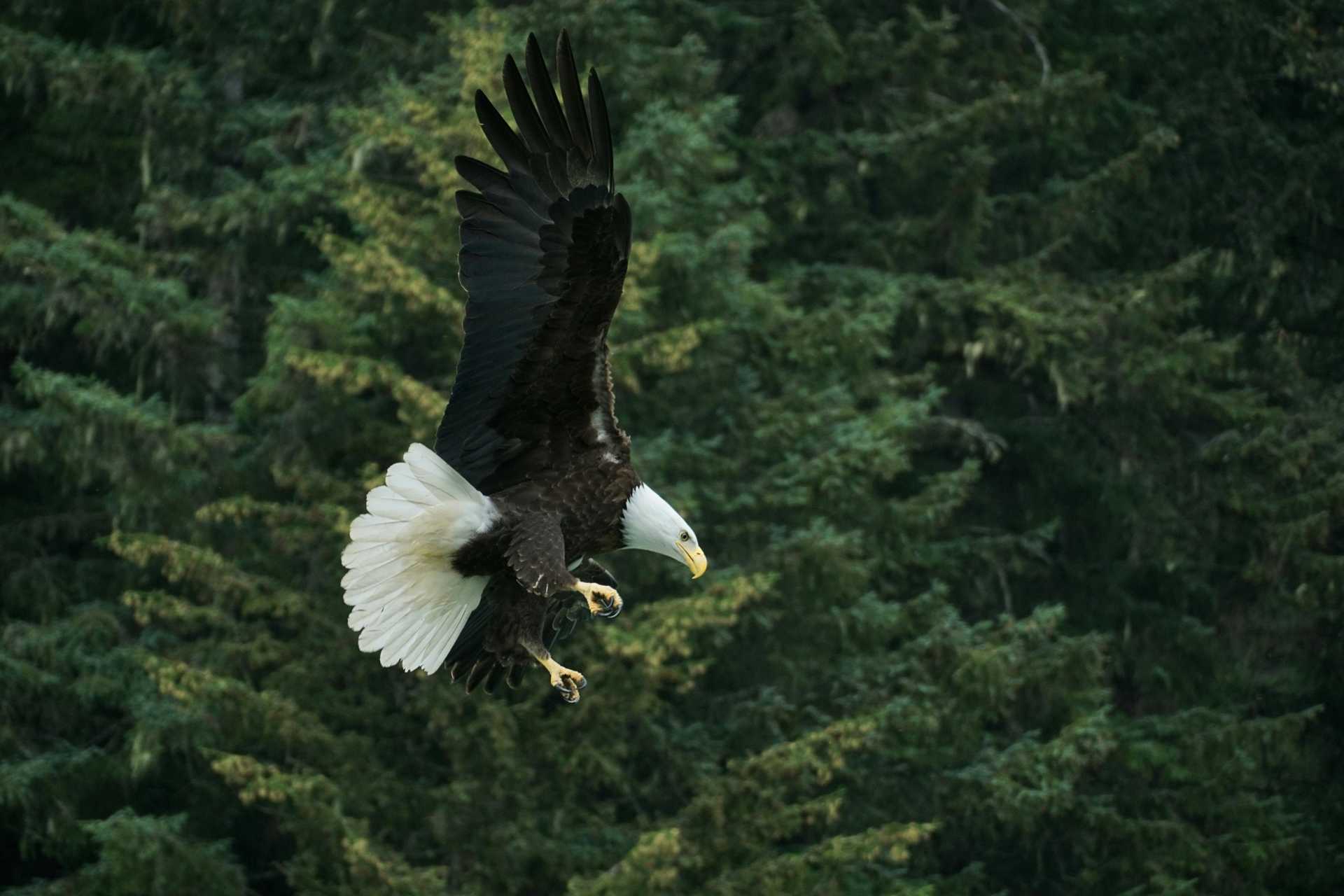 Alaska Unplugged: 10 Family-Friendly Days in The Last Frontier