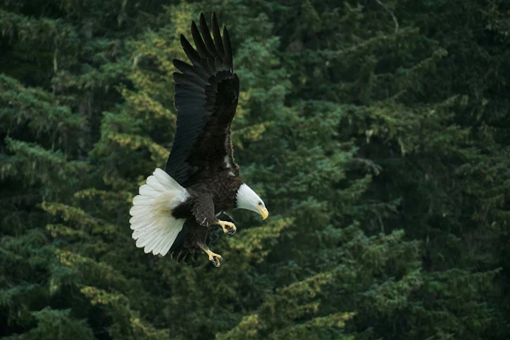 Alaska Unplugged: 10 Family-Friendly Days in The Last Frontier