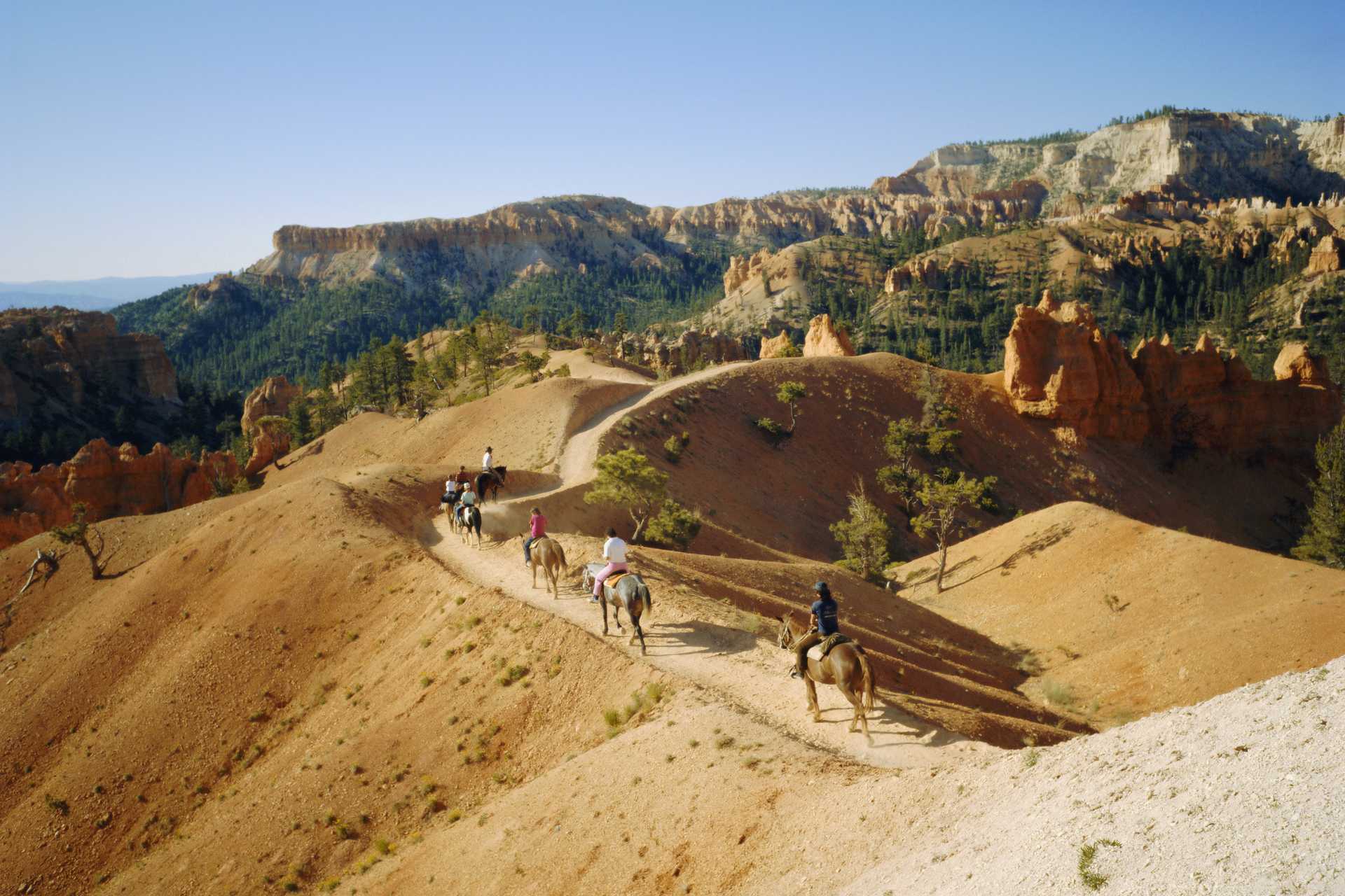 Road Trippin' Across the American West