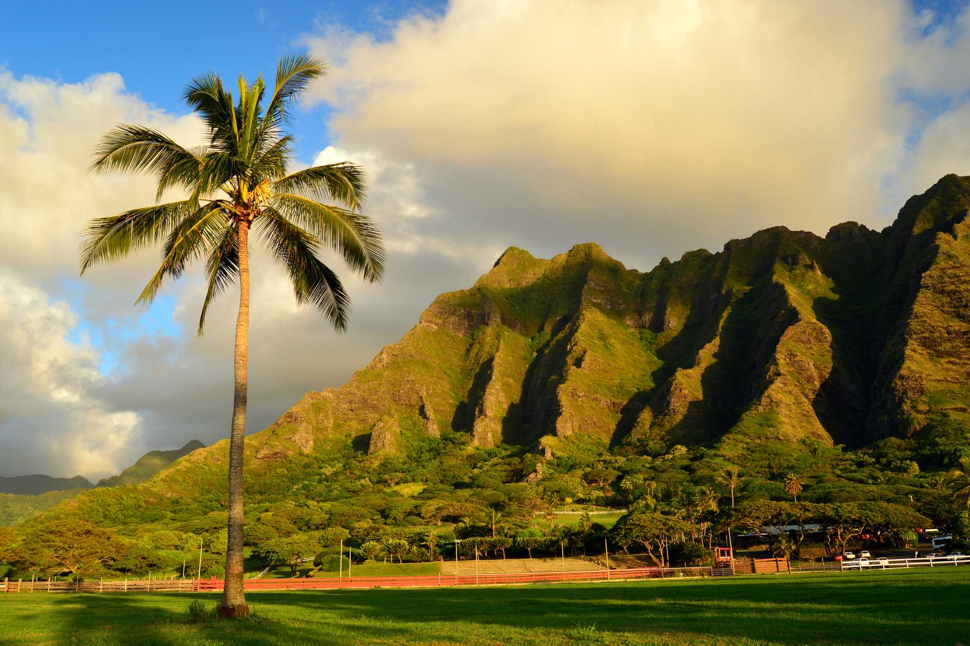 Hawaii's Big Island and Oahu's Big City in 8 Days