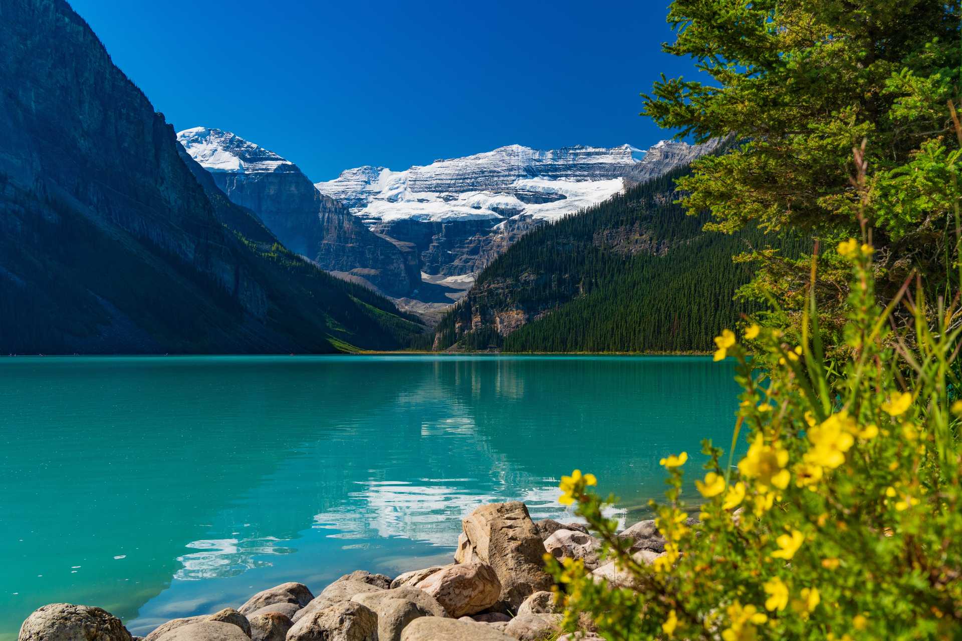 shutterstock_2536551349.jpg
