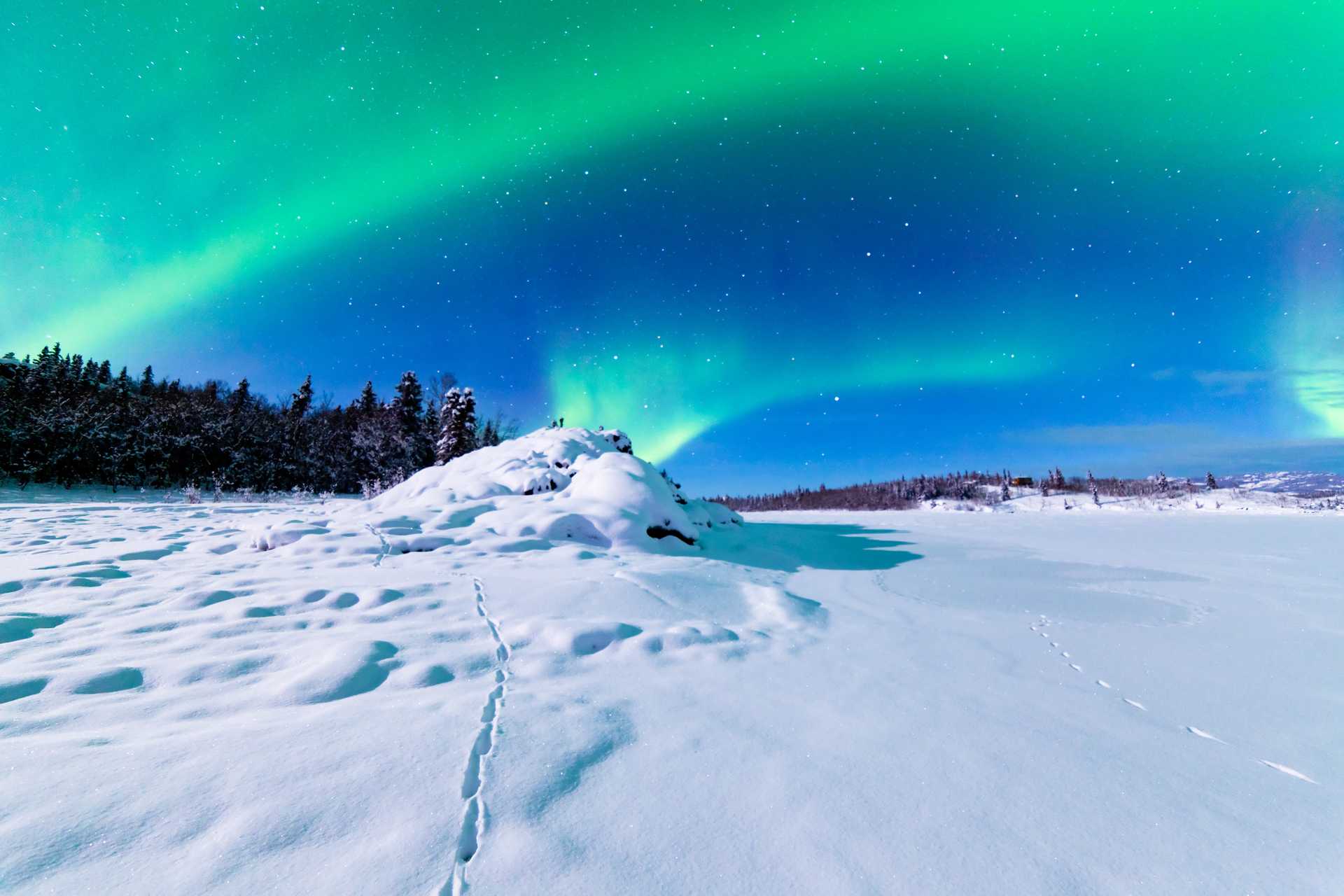 Yukon's Northern Lights and Northern Landscapes: Subarctic Canada in 6 Days