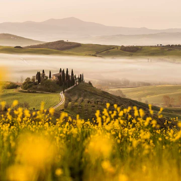 8 Days in Italy: Tuscan Treasures