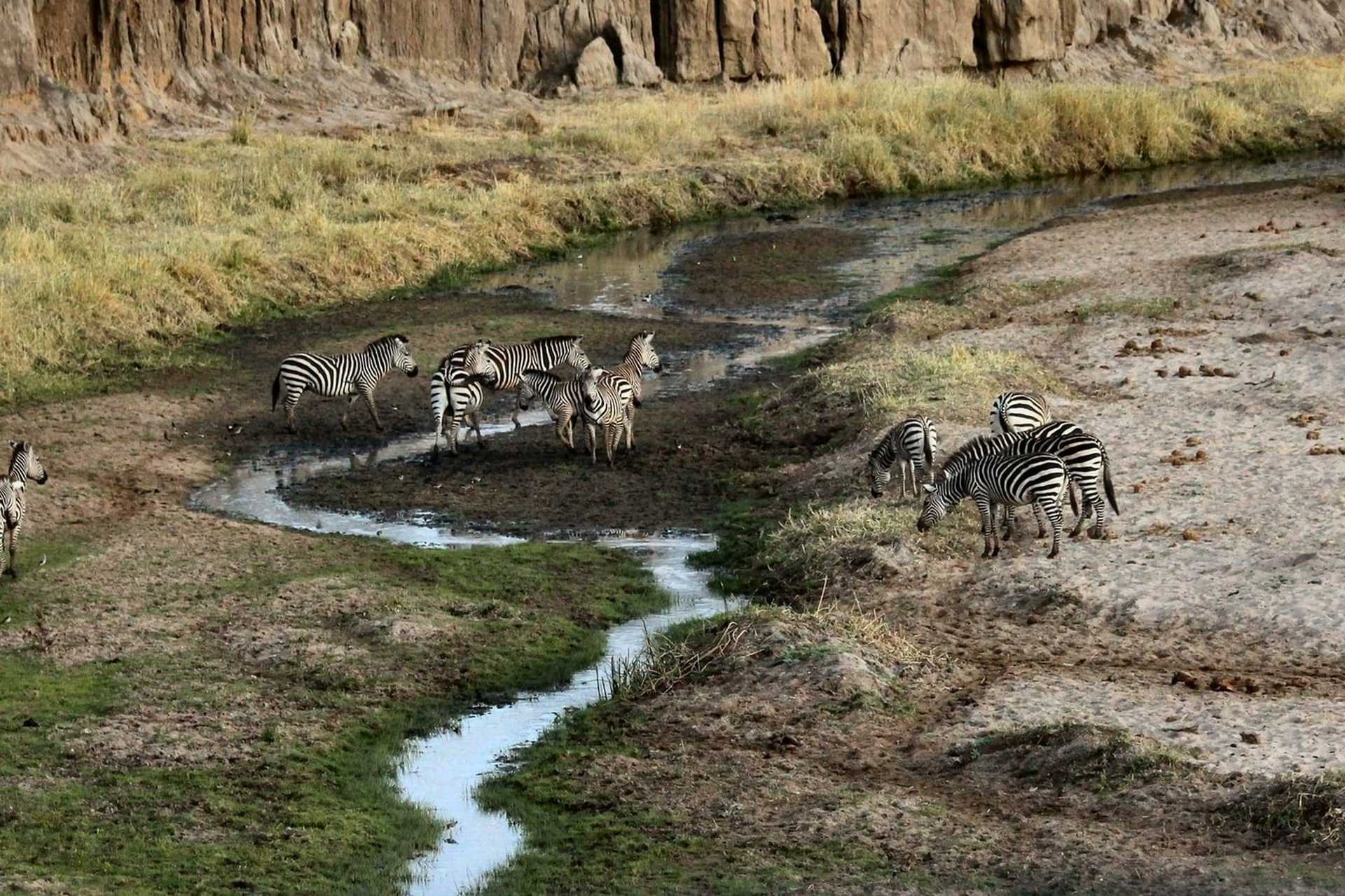 Tarangire