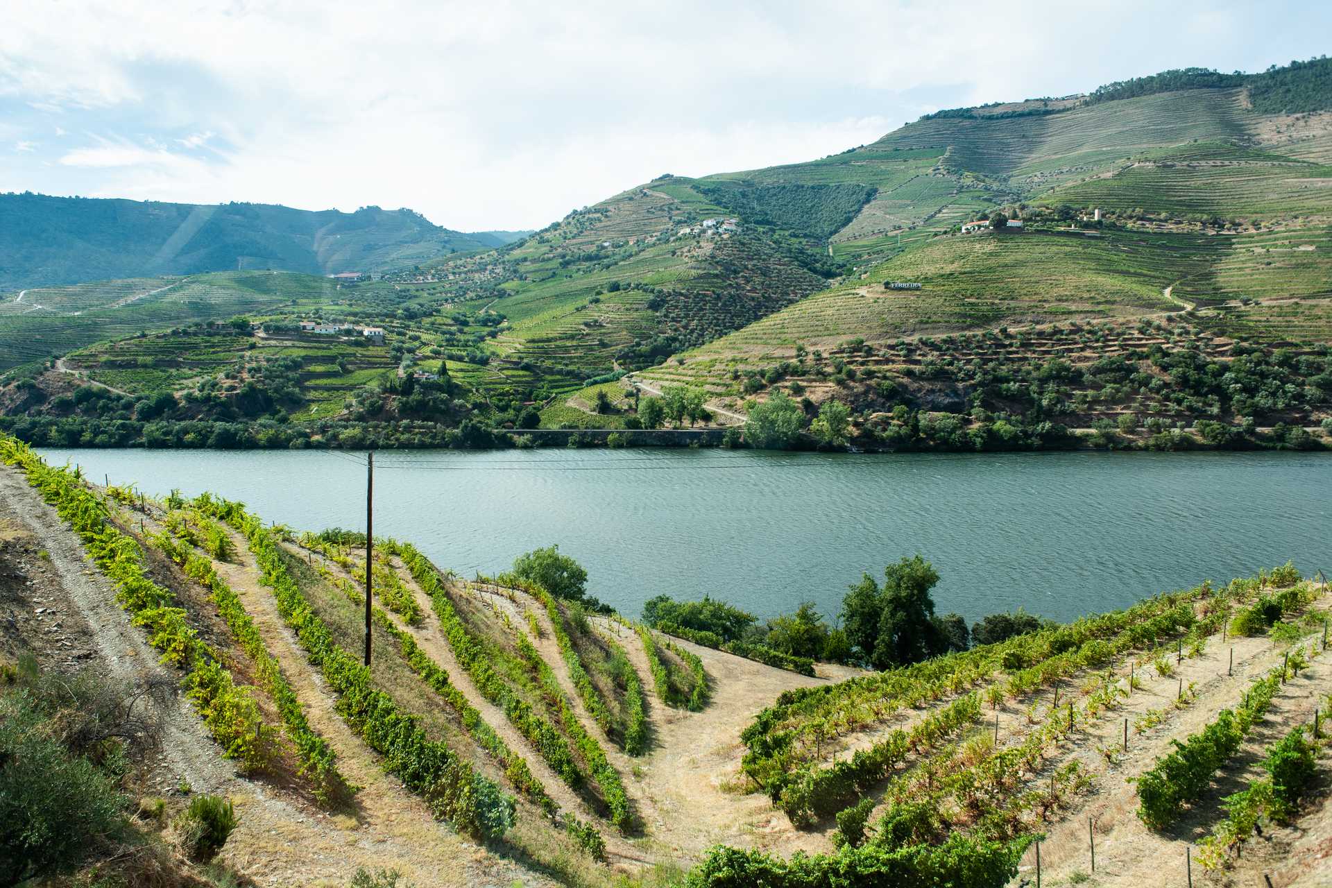 Portal Through Portugal: Lisbon, Porto, the Douro Valley, and the Algarve