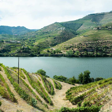 Portal Through Portugal: Lisbon, Porto, the Douro Valley, and the Algarve