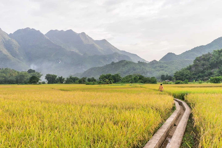 Vietnam: 12 Days in Quy Nhon, Hạ Long, Hội An, and the Mekong Delta