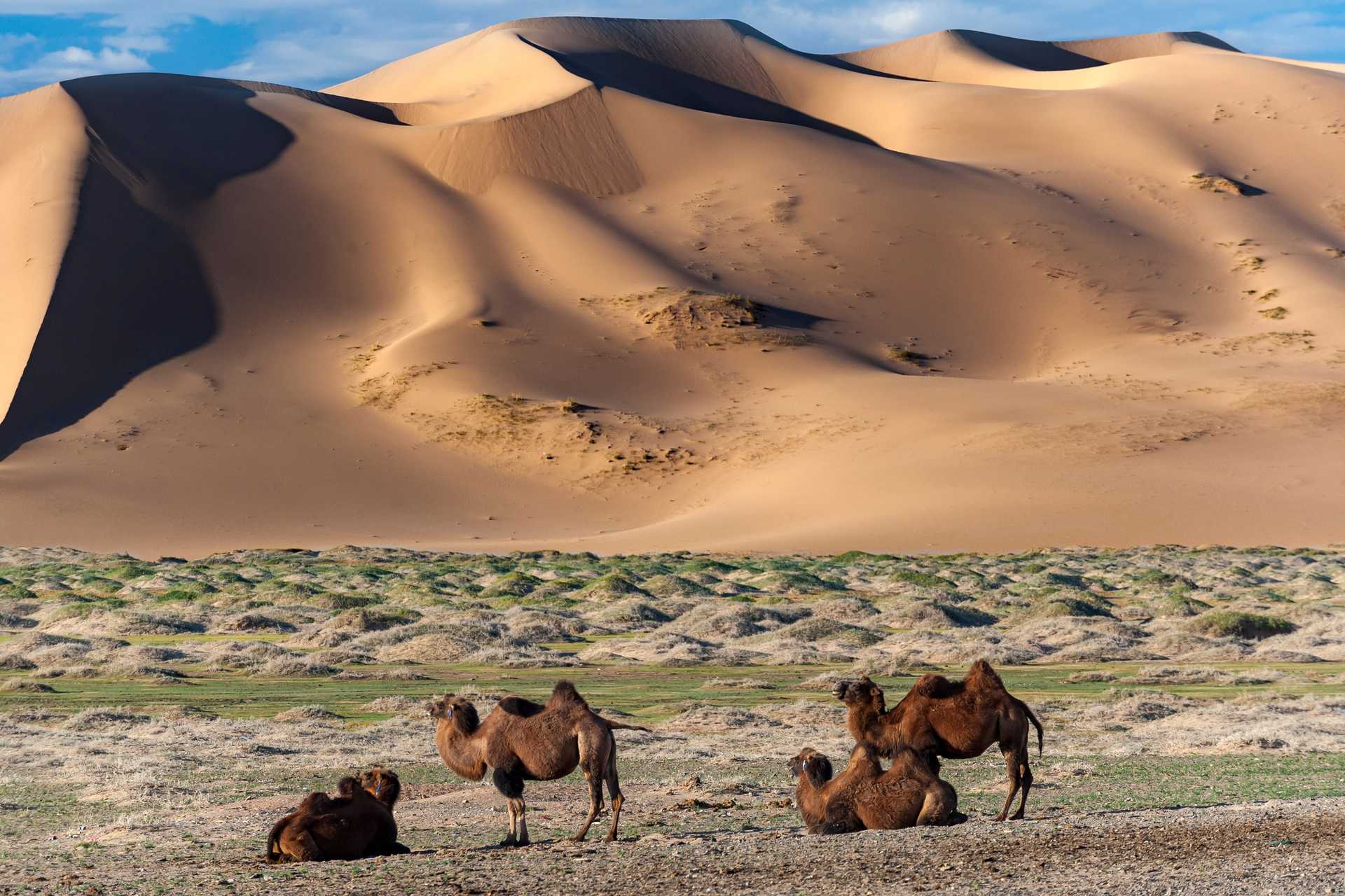 11 Days in Mongolia: Heartlands and Khuvsgul Lake
