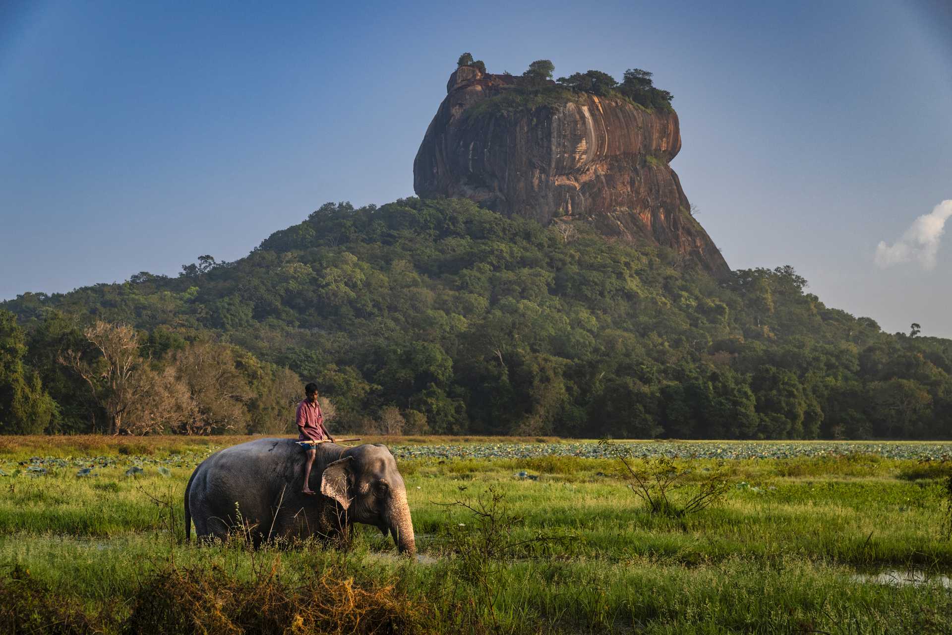 Signature Sri Lanka: City, Coast, and Wildlife Corridors in 14 Days