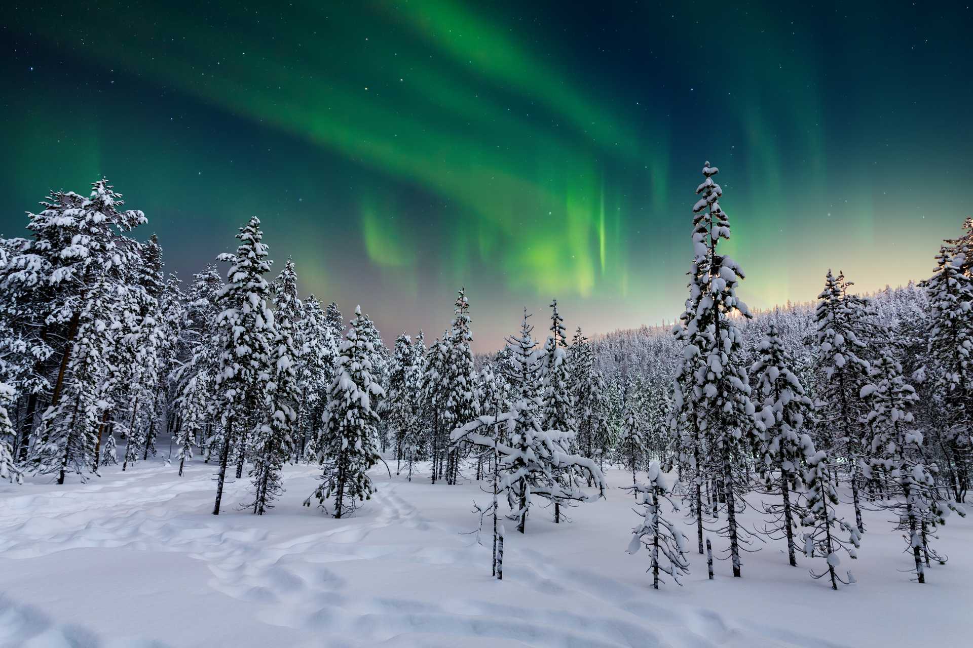 Finland’s Arctic Expedition in 10 Days