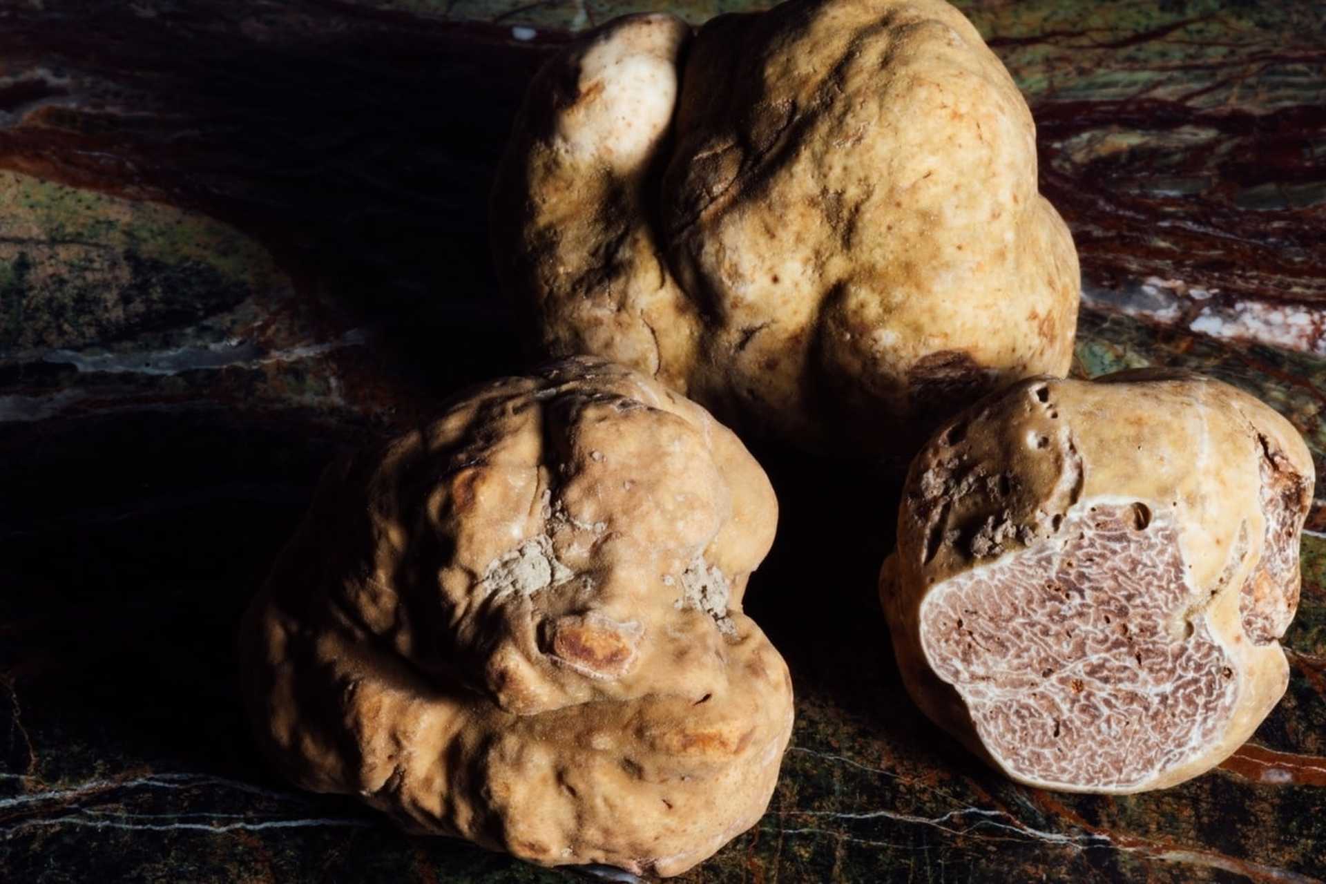 Truffle 3