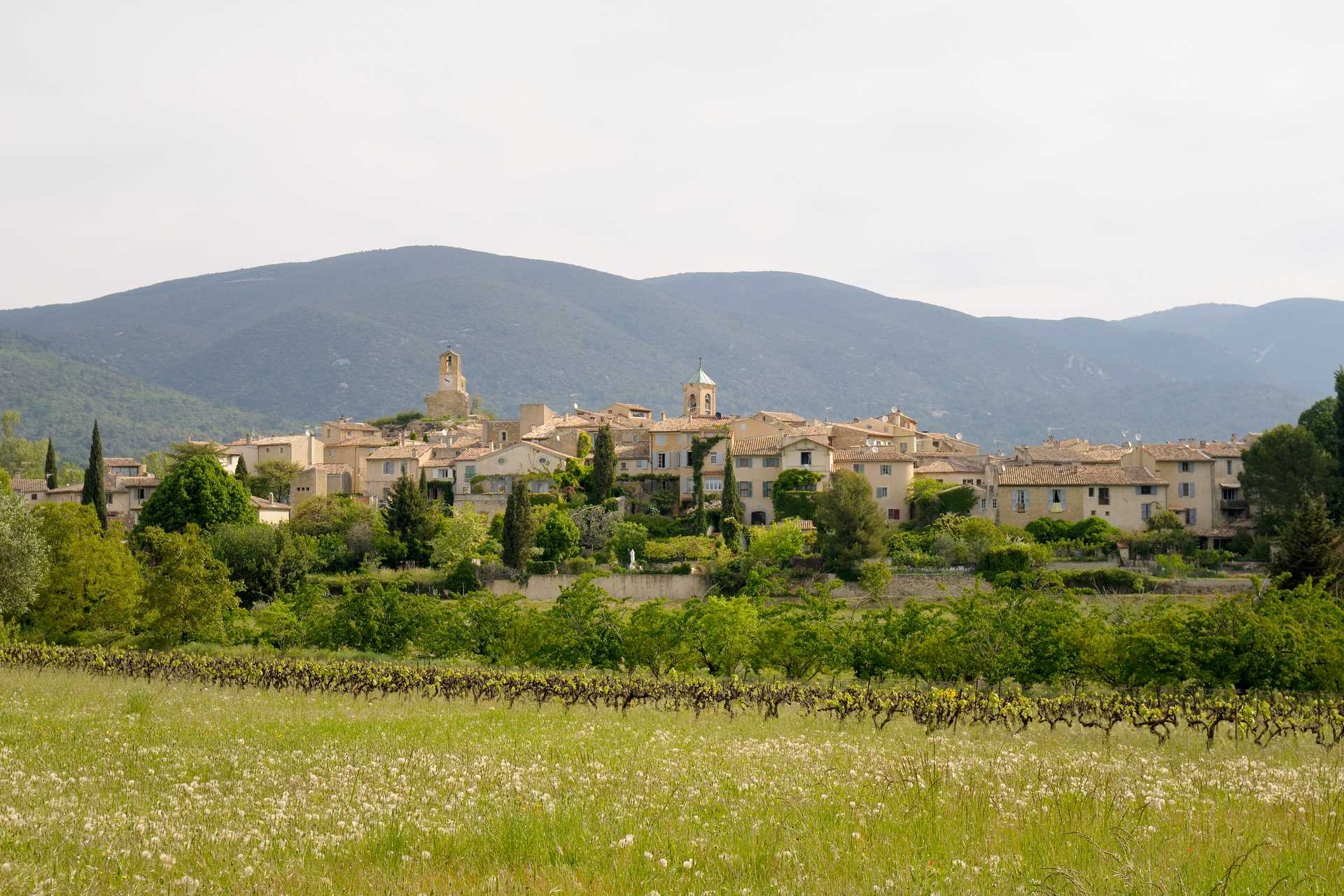 Summer Soirée: 10 Days of French Wine, Sun, and Culture